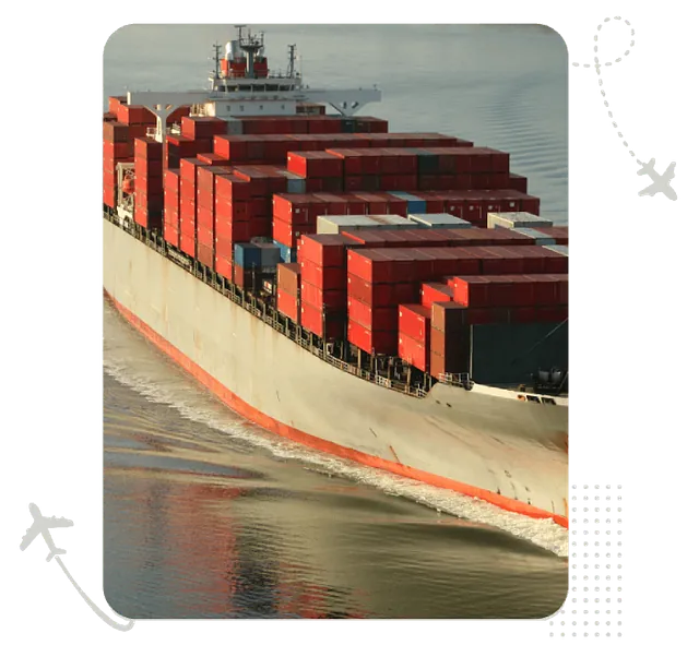 VITALTRANS